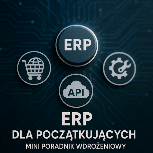 ERP Dla Początkujących – Mini Poradnik Wdrożeniowy