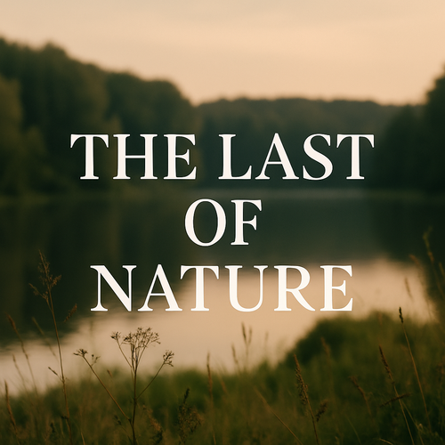 Wpis bez tytułu 1450